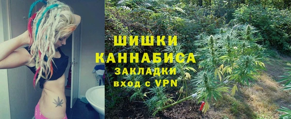 трава Белокуриха
