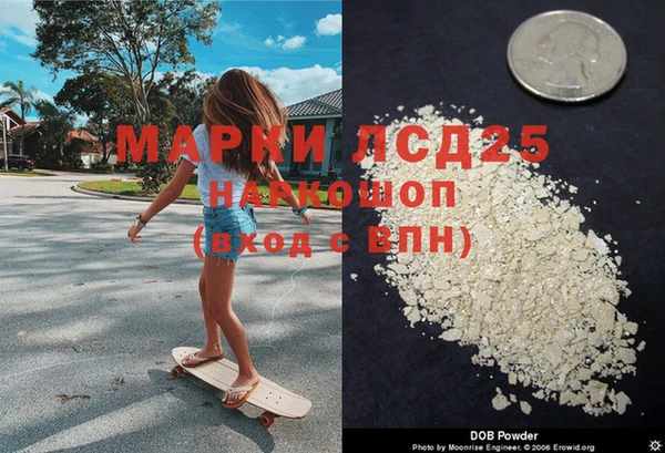 трава Белокуриха