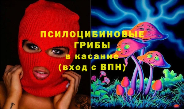 трава Белокуриха