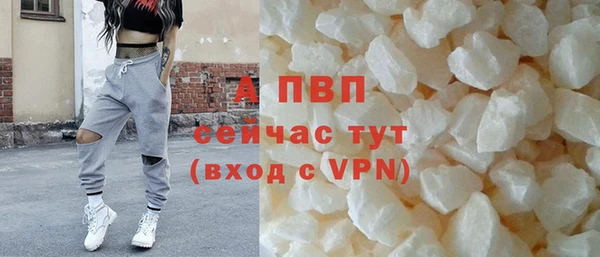 трава Белокуриха