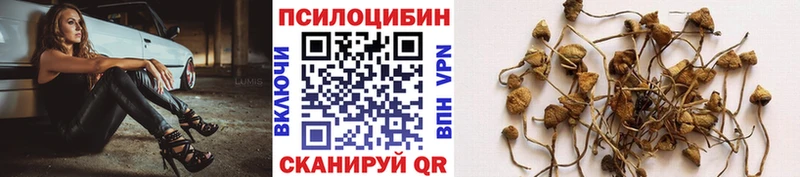 Галлюциногенные грибы Magic Shrooms  Чёрмоз 